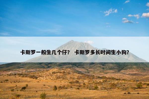 卡斯罗一般生几个仔? 卡斯罗多长时间生小狗?