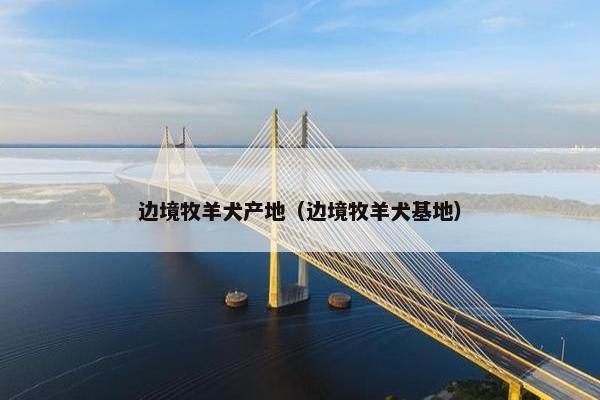 边境牧羊犬产地（边境牧羊犬基地）