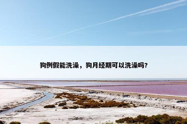 狗例假能洗澡,狗月经期可以洗澡吗?