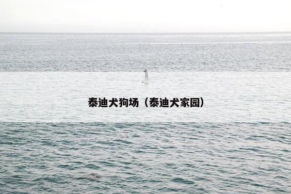 泰迪犬狗场（泰迪犬家园）