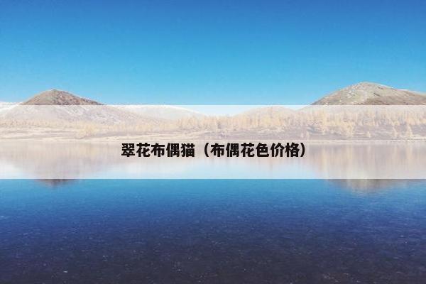 翠花布偶猫（布偶花色价格）