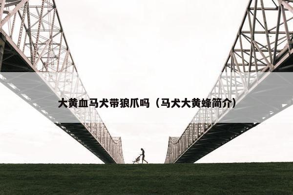 大黄血马犬带狼爪吗(马犬大黄蜂简介)