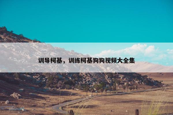 训导柯基，训练柯基狗狗视频大全集
