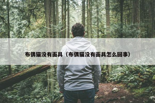 布偶猫没有面具(布偶猫没有面具怎么回事)