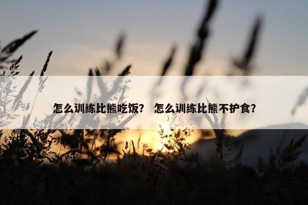 怎么训练比熊吃饭? 怎么训练比熊不护食?
