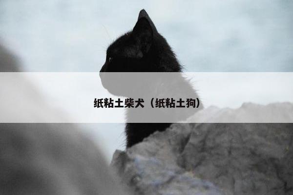 纸粘土柴犬(纸粘土狗) 纸粘土柴犬(纸粘土狗)