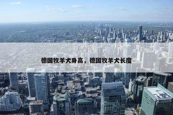 德国牧羊犬身高，德国牧羊犬长度