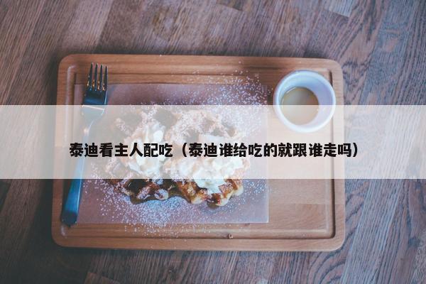 泰迪看主人配吃（泰迪谁给吃的就跟谁走吗）