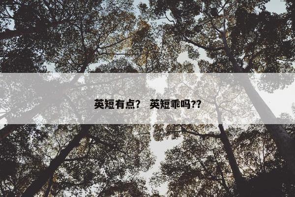 英短有点？ 英短乖吗?？