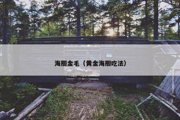 海胆金毛（黄金海胆吃法）
