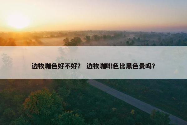 边牧咖色好不好？ 边牧咖啡色比黑色贵吗？