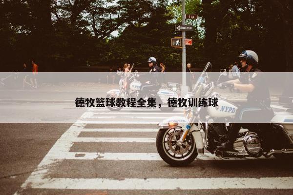 德牧篮球教程全集，德牧训练球