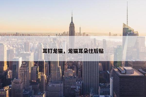 耳钉龙猫，龙猫耳朵往后贴