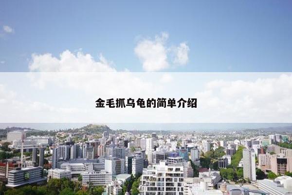 金毛抓乌龟的简单介绍